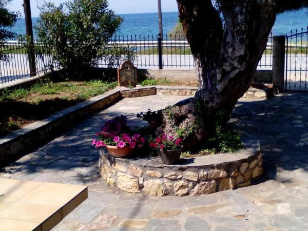 Aegialis Villa Skála Kallirákhis Buitenkant foto